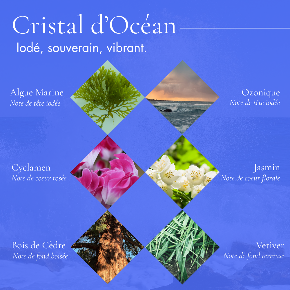 Cristal d&