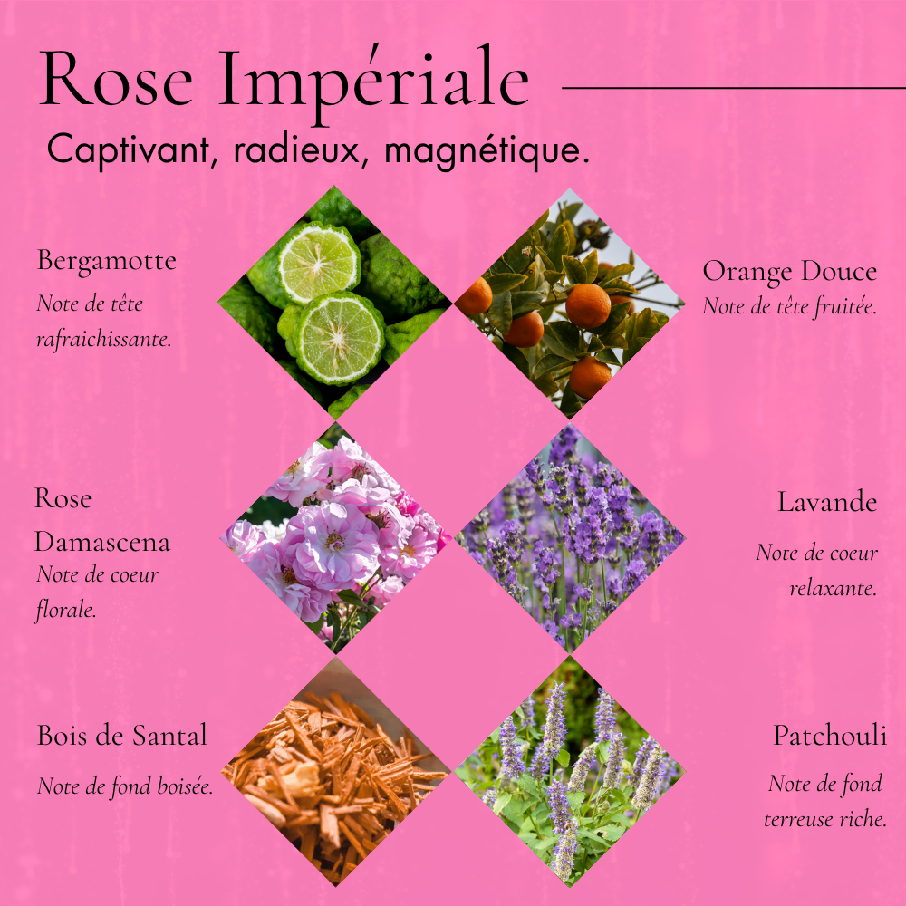 Rose Impériale- Coffret de 30 palets